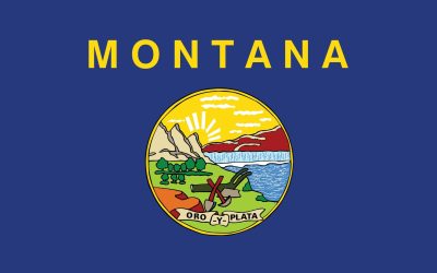 Lo Stato del Montana vieta TikTok