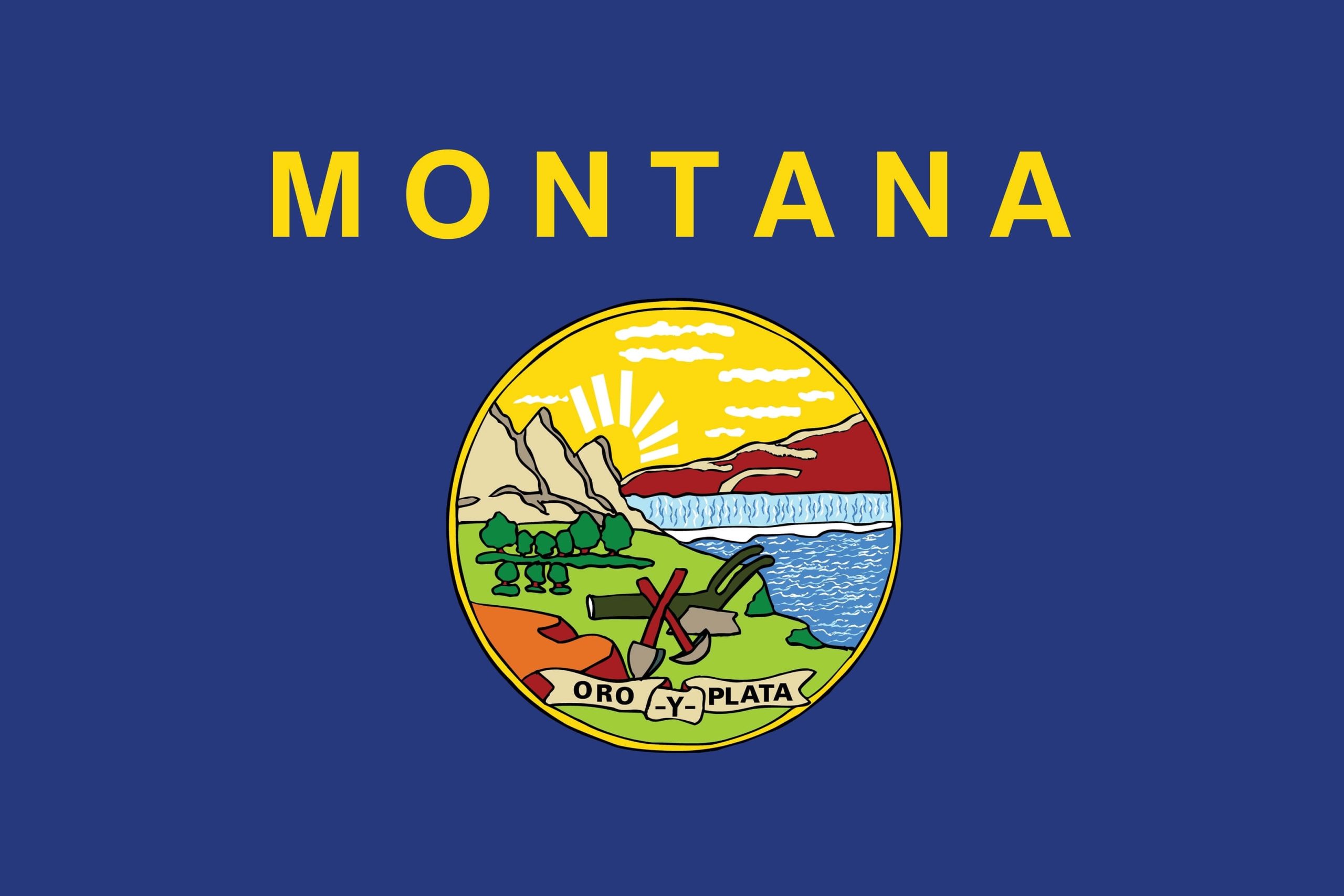 bandiera del montana