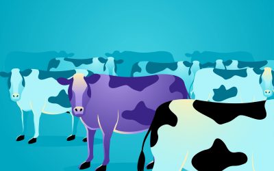 La teoria della Mucca Viola: perché il diverso vince sull’omogeneo